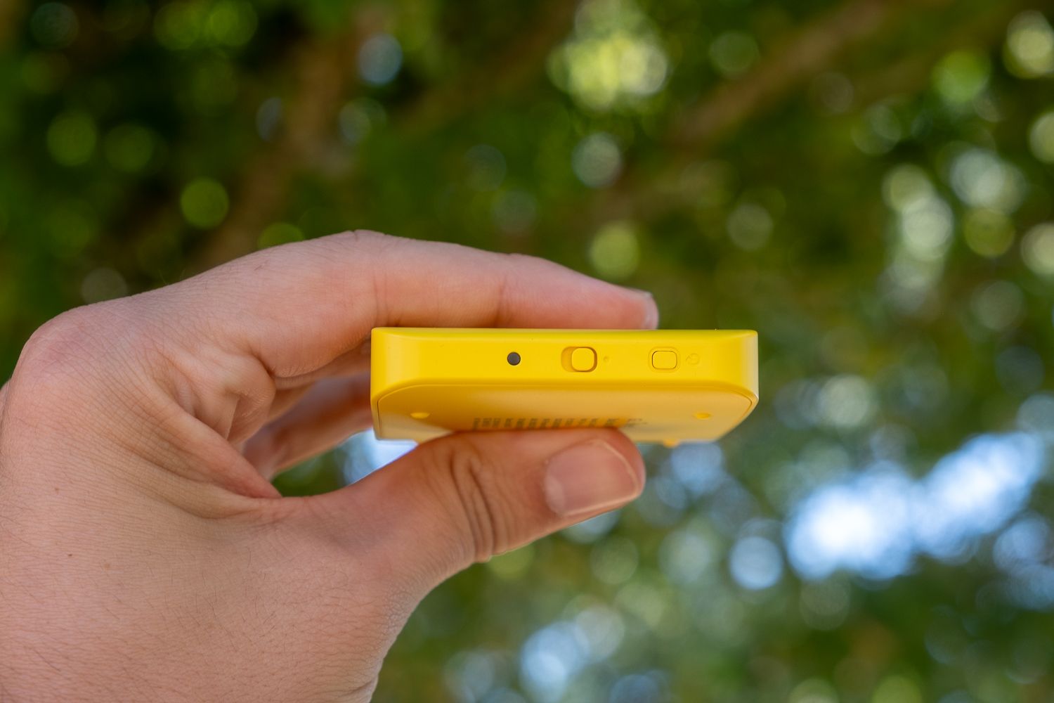 Bouton cote mango 2