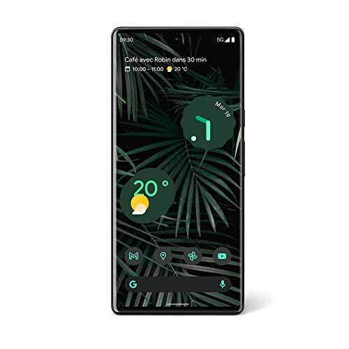 Google Pixel 6 Pro
